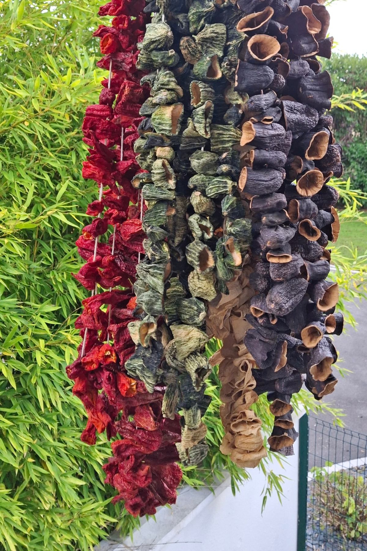 Produits séchés & Dolma