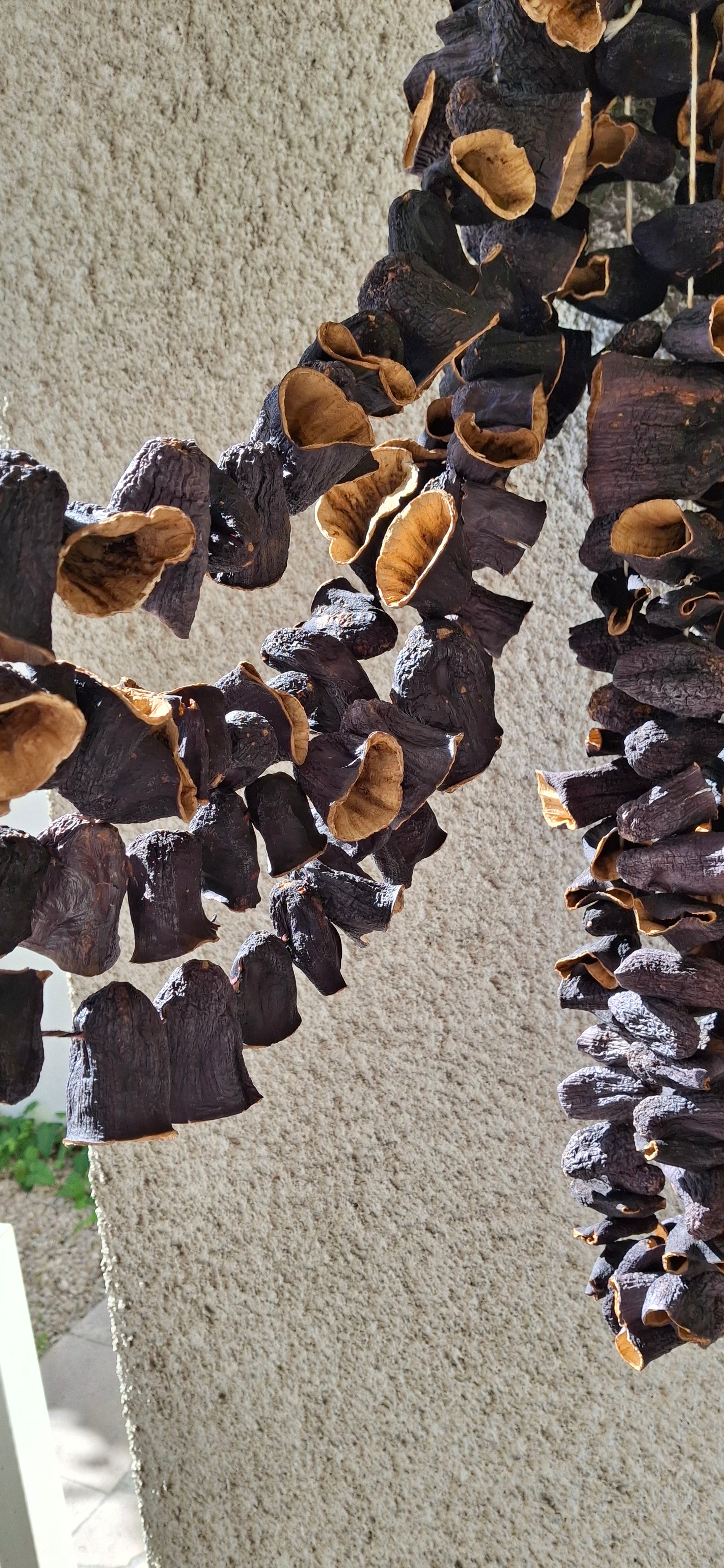 Aubergines séchées pour dolma (1 bağ) Kuru Patlıcan Dolmalık