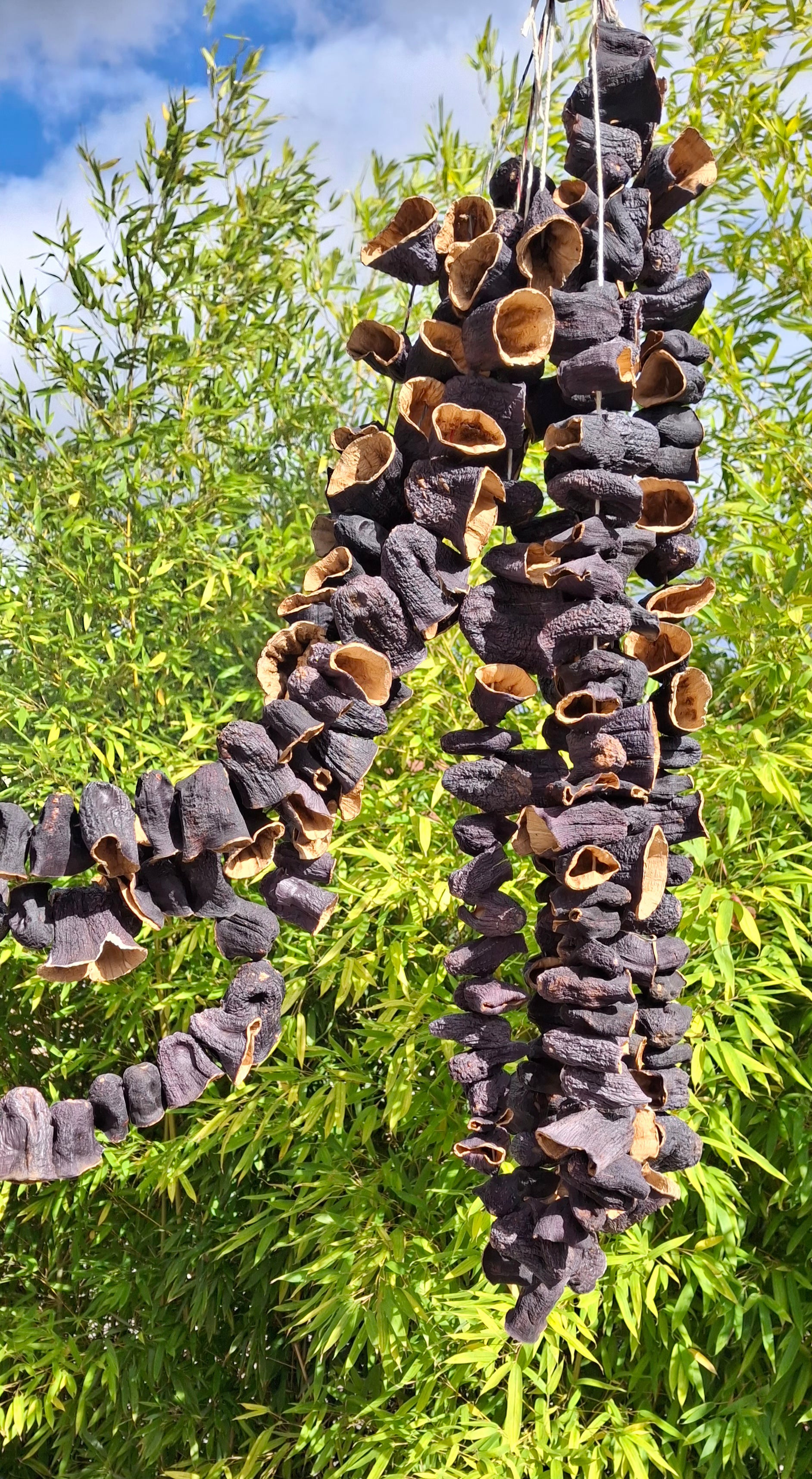 Aubergines séchées pour dolma (1 bağ) Kuru Patlıcan Dolmalık