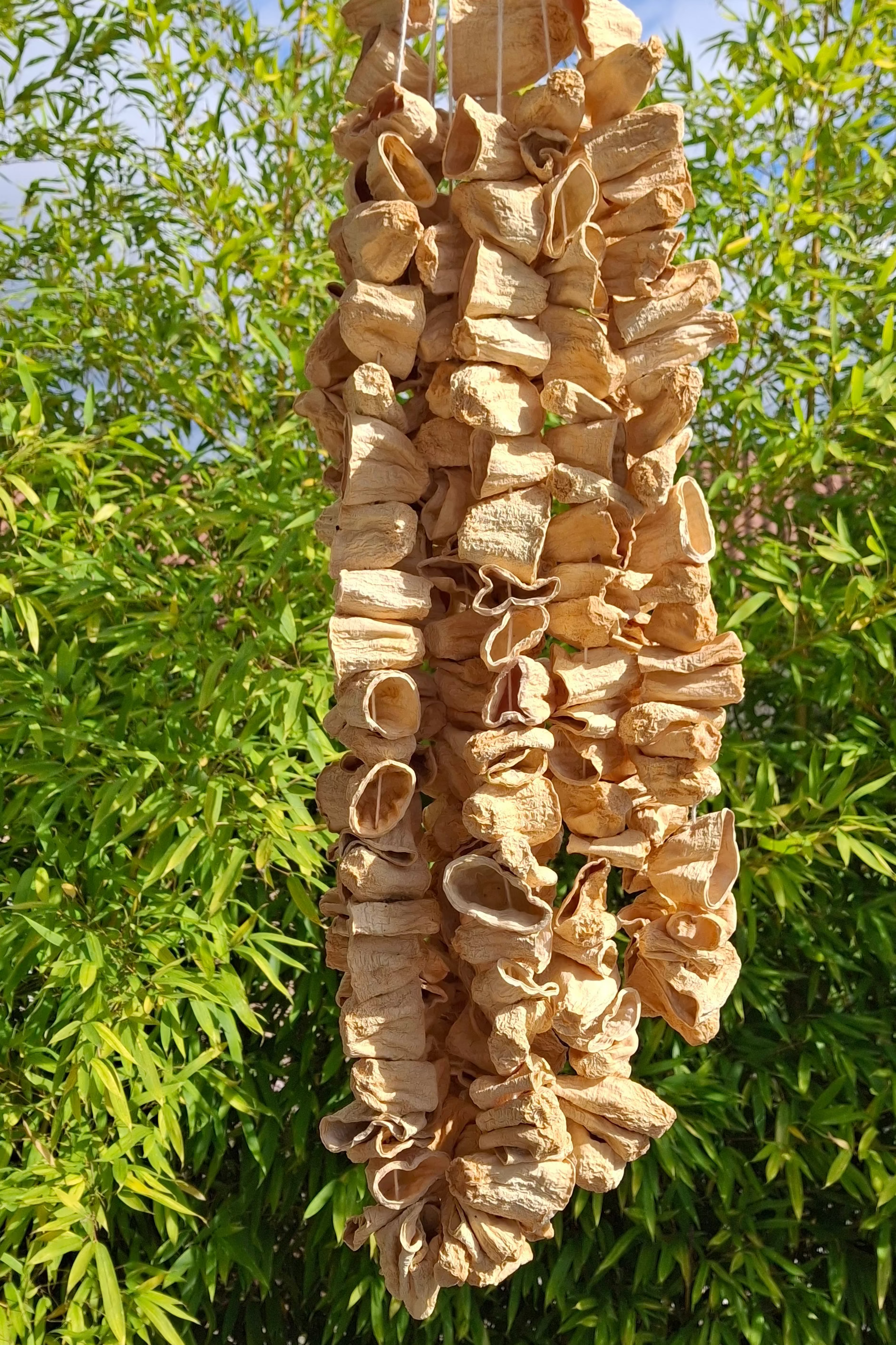 Courgettes séchées pour dolma (1 bağ) Dolmalık Kabak Kurusu