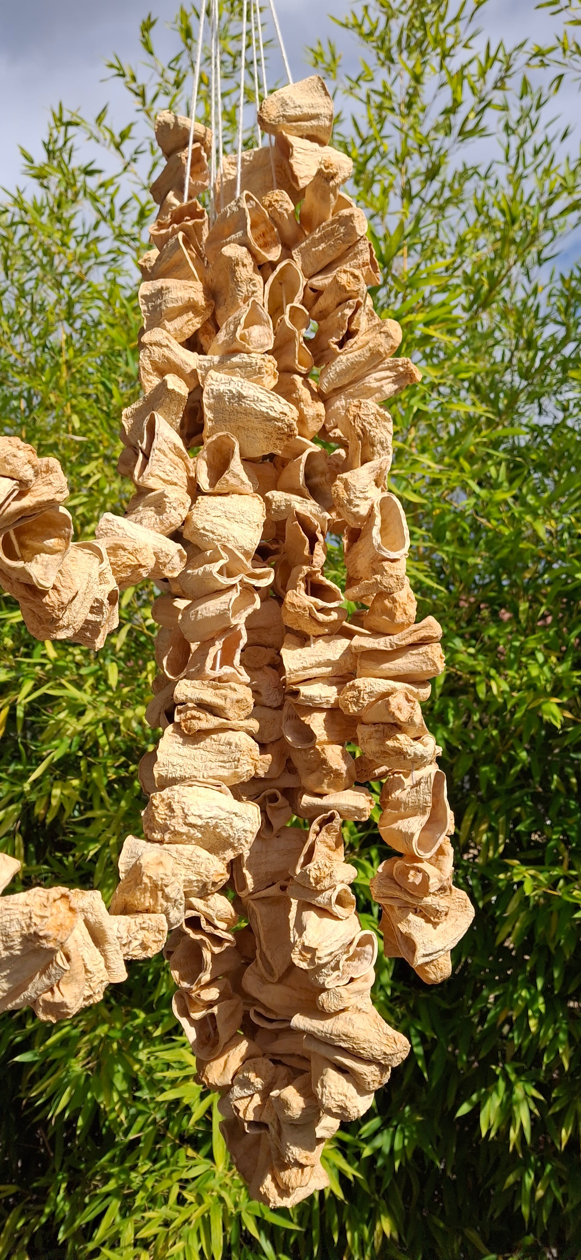 Courgettes séchées pour dolma (1 bağ) Dolmalık Kabak Kurusu