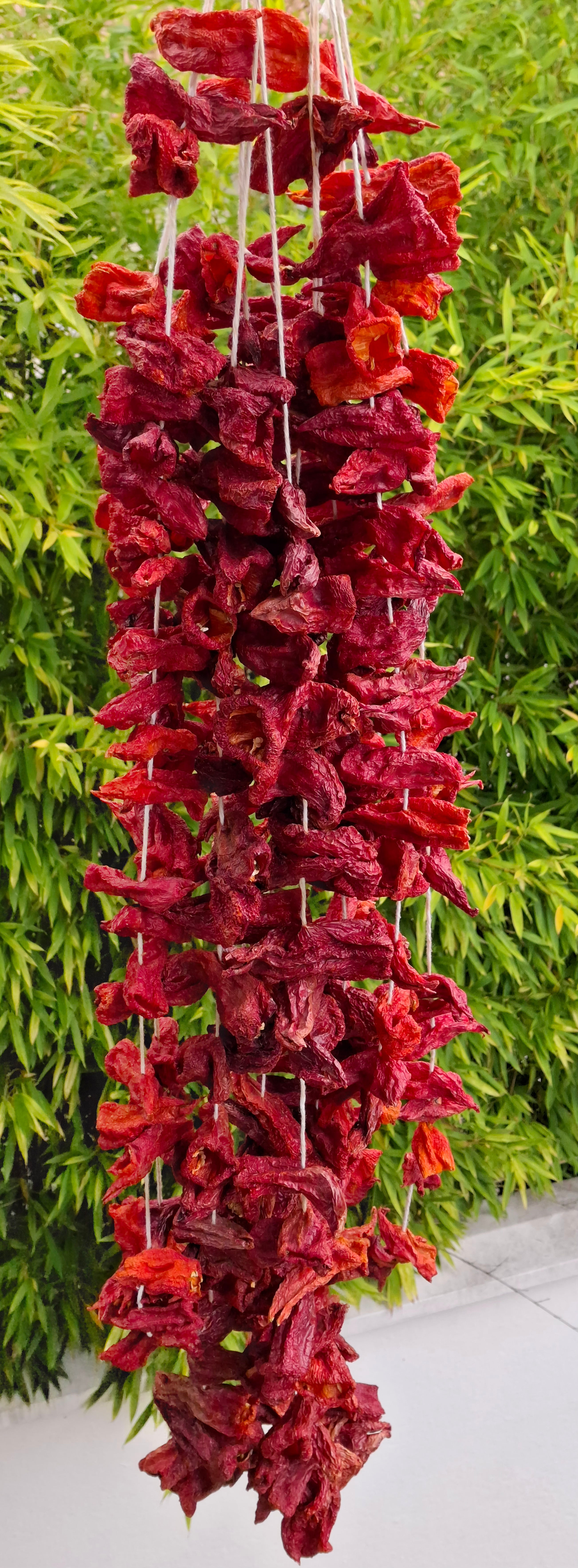 Poivrons rouges doux séchés pour dolma (1 bağ)