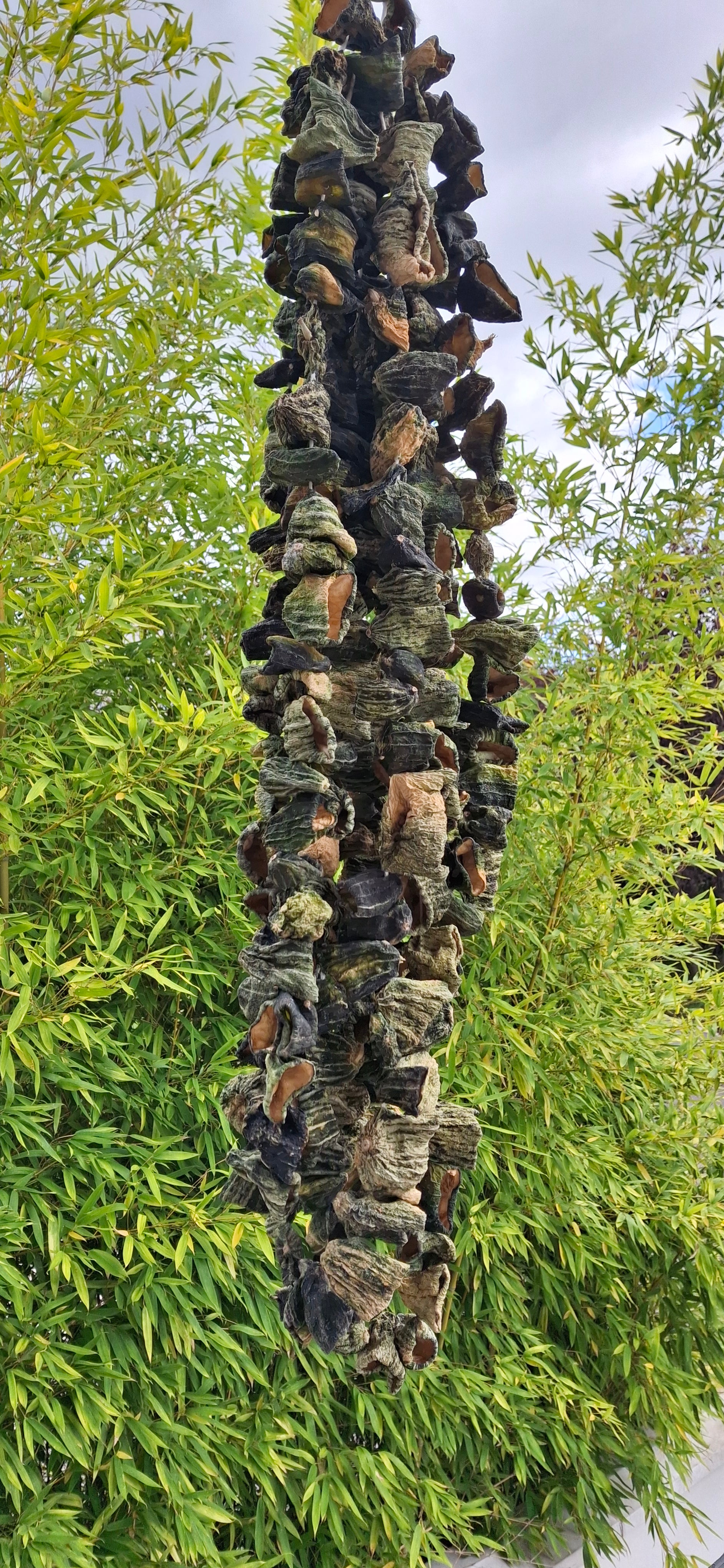 Concombre séché pour dolma (acur) 1 bağ